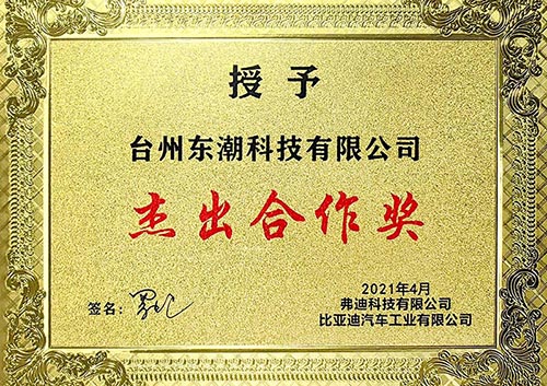 比亚迪杰出合作奖